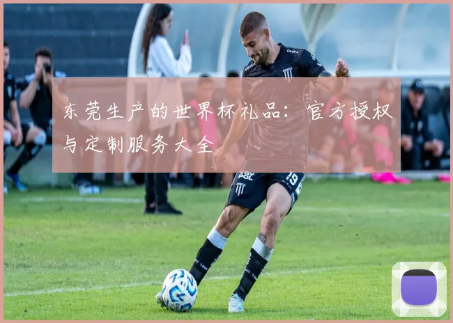 东莞生产的世界杯礼品：官方授权与定制服务大全